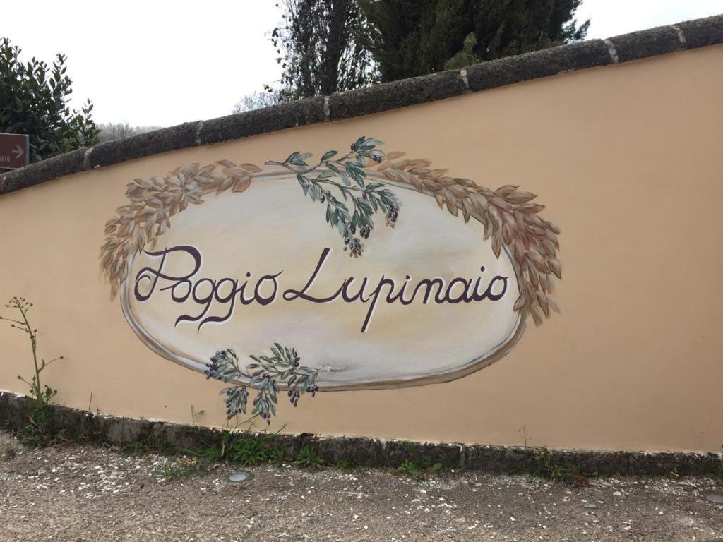 Podere Poggio Lupinaio San Martino sul Fiora Exterior photo