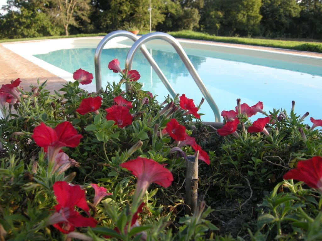 Podere Poggio Lupinaio San Martino sul Fiora Room photo